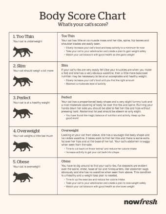 NOW FRESH cat body score chart