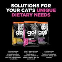 Explore our other solutions for your cat's unique dietary needs