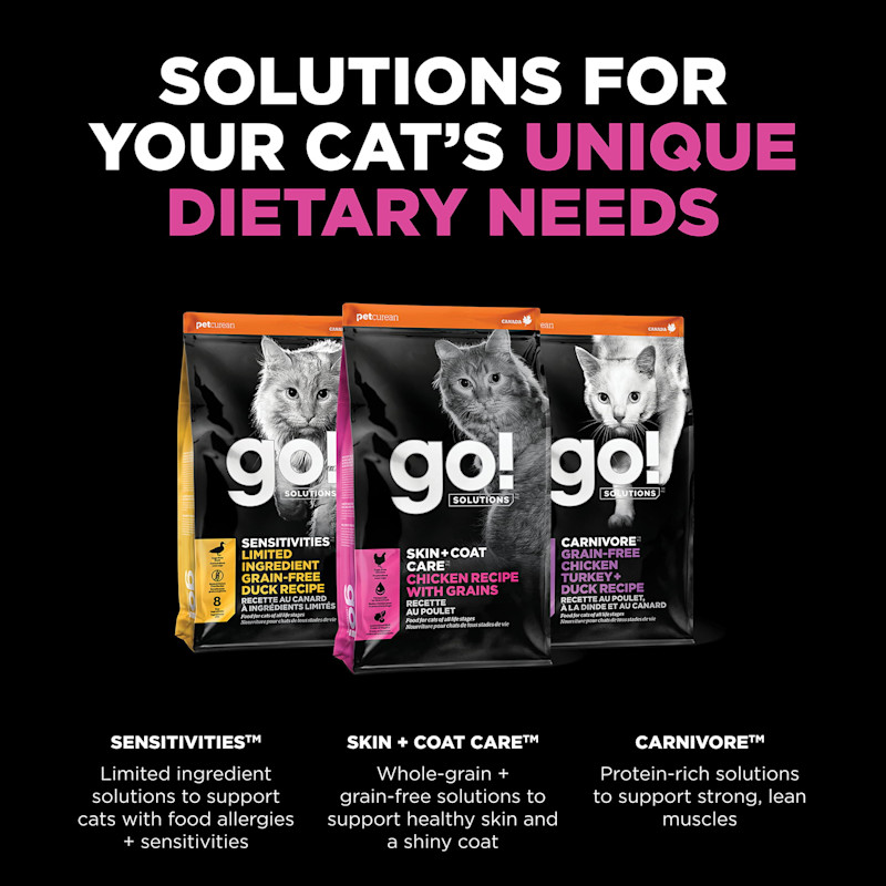 Explore our other solutions for your cat's unique dietary needs