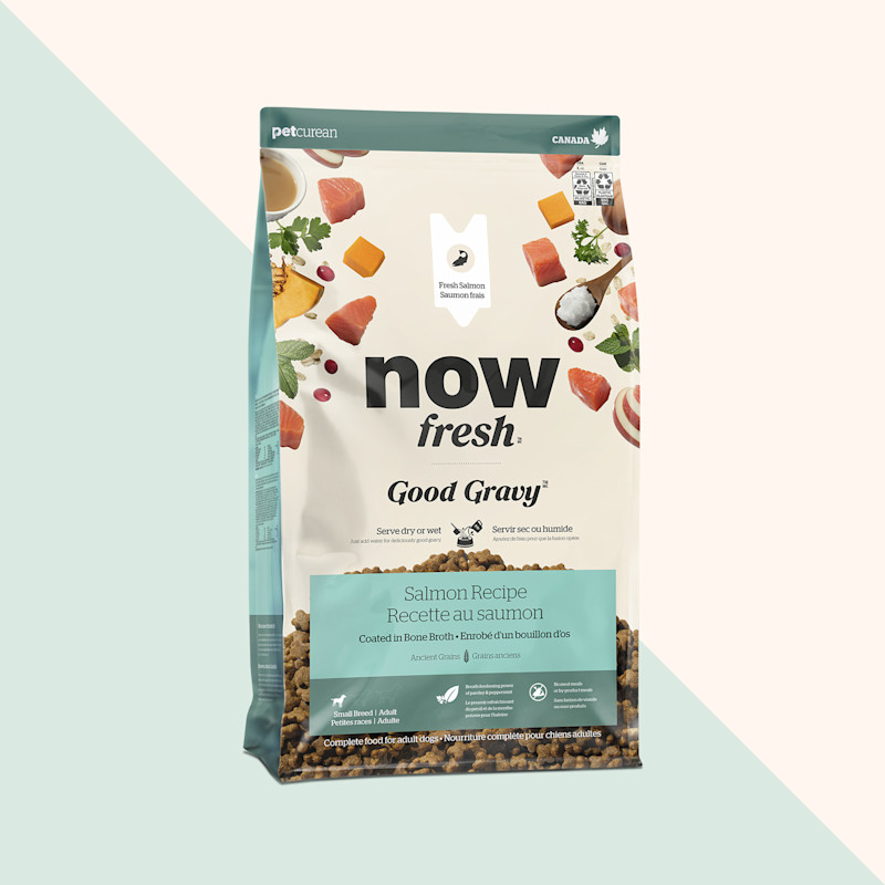 Now Fresh Good Gravy Salmon Recipe dry food for small breed dogs