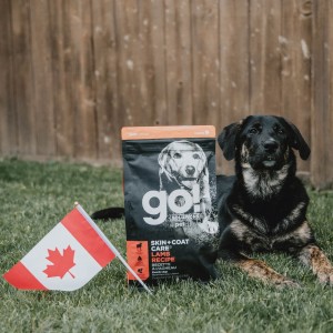 Dog on grass with bag of Go! Solutions and Canada flag