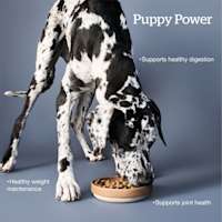 Supports healthy digestion, healthy weight maintenance, supports joint health