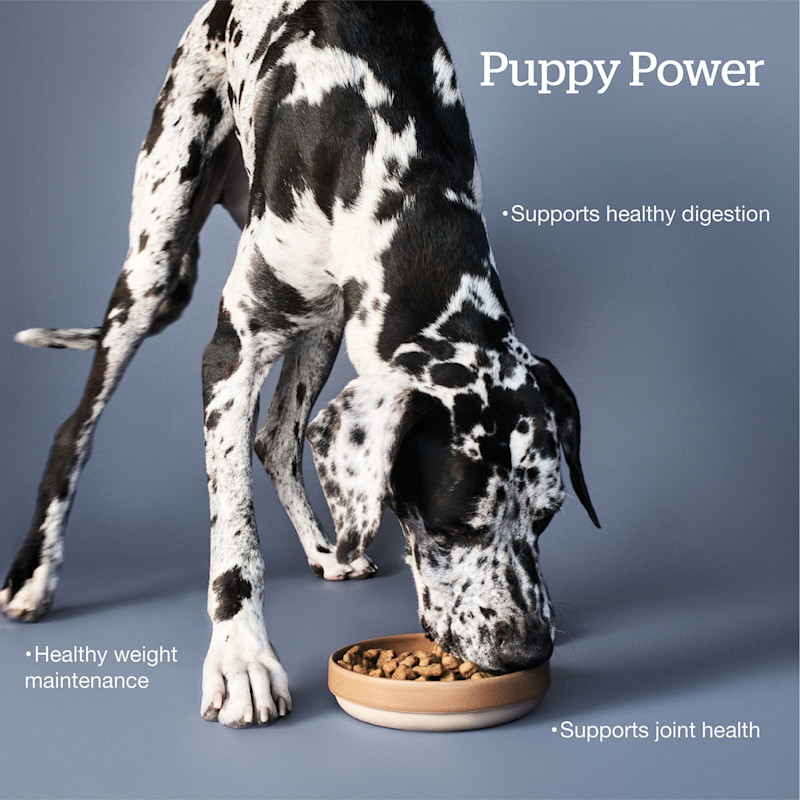 Supports healthy digestion, healthy weight maintenance, supports joint health