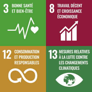 United Nations Sustainable Development Goals