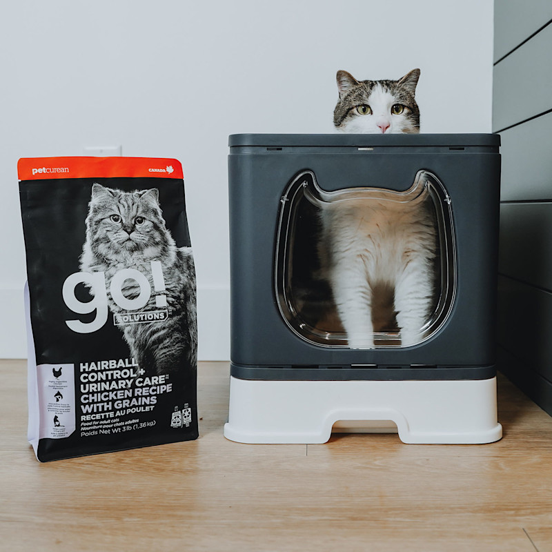 Cat in litterbox beside bag of Go! Hairball Control + Urinary Care cat food