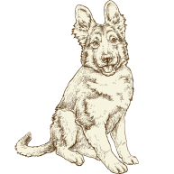 German Shepherd puppy illustration