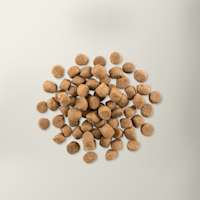 Now Fresh adult dog food kibble