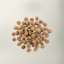 Now Fresh adult dog food kibble