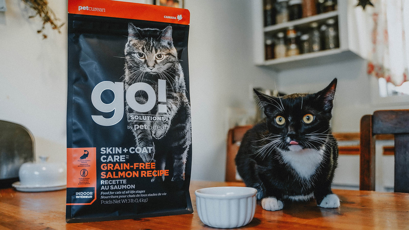 Cat Food for Dry Itchy Skin GO! SOLUTIONS SKIN + COAT CARE