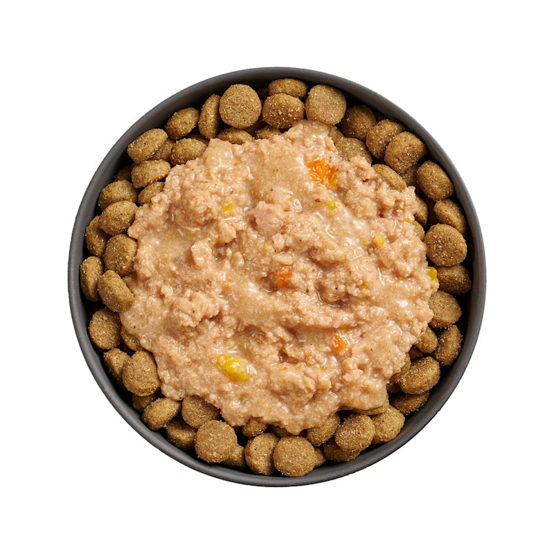 Bowl of kibble topped with Go! Booster Tranquility Chicken, Salmon + Duck Stew for dogs