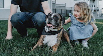Boxer dog and toddler laying in grass