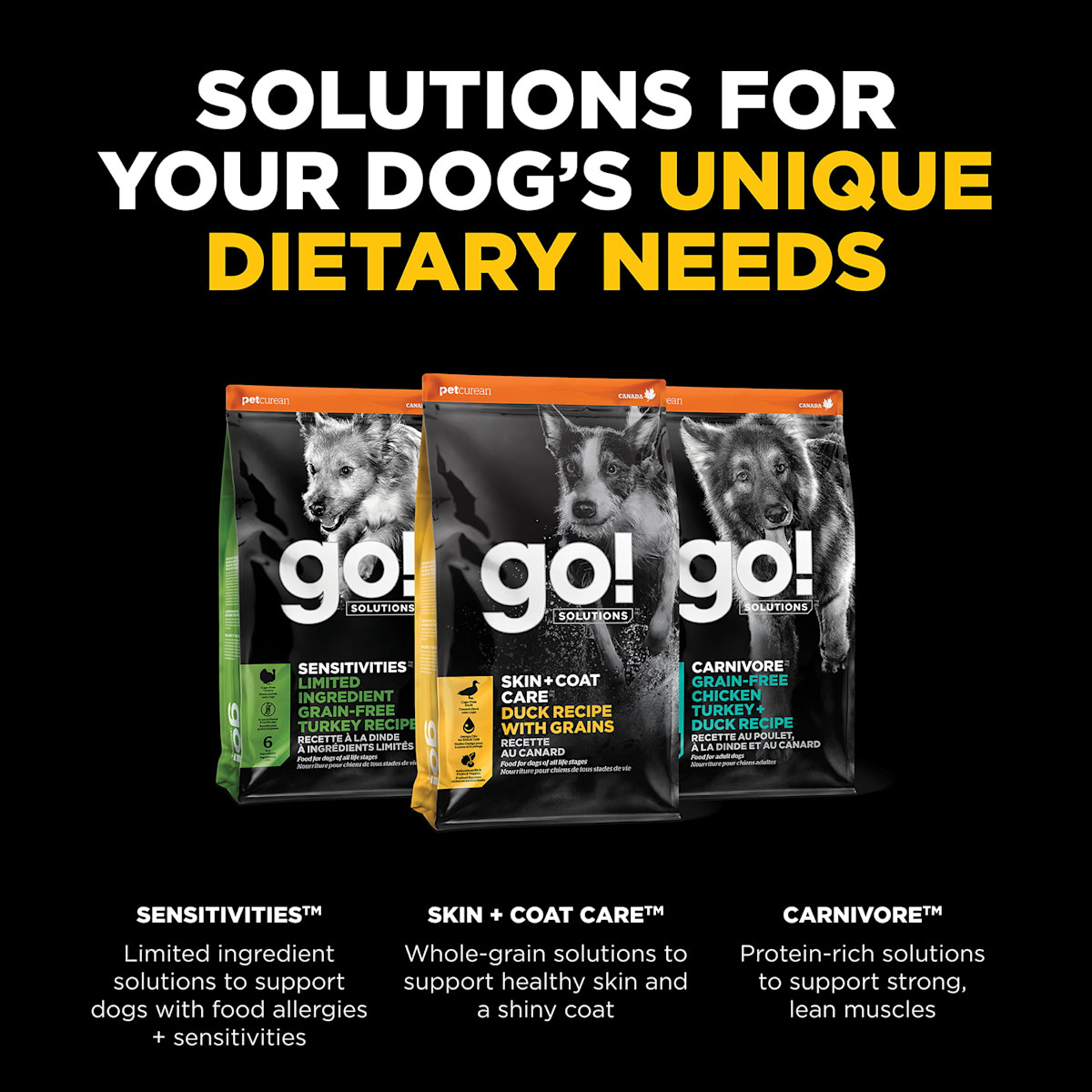Explore other solutions for your dog's unique dietary needs