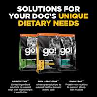 Explore other solutions for your dog's unique dietary needs