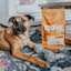 Dog laying beside bag of Now Fresh puppy food