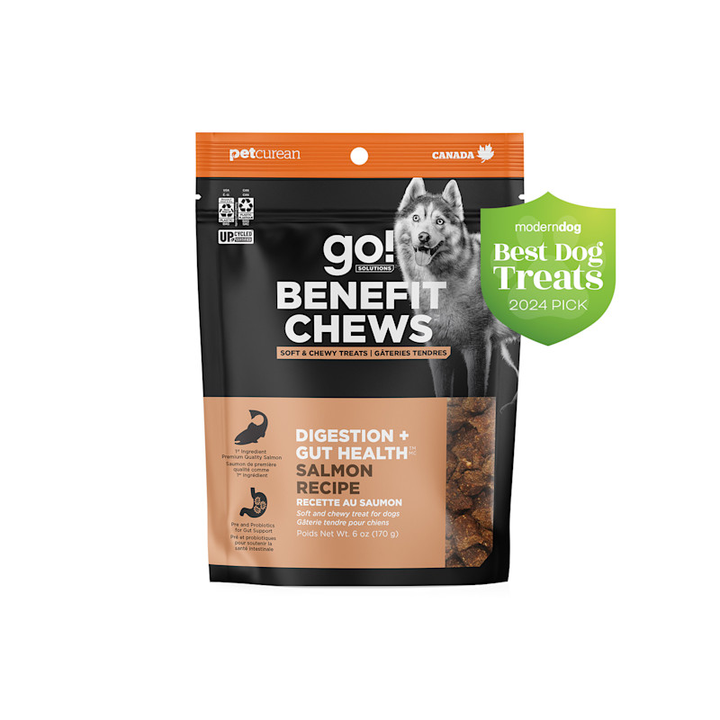 Go! Benefit Chews Digestion + Gut Health Salmon Recipe, Modern Dog Best Dog Treats 2024 Pick