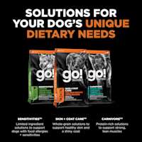 Explore our other solutions for your dog's unique dietary needs