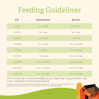 Gather Endless Valley dog food feeding guidelines