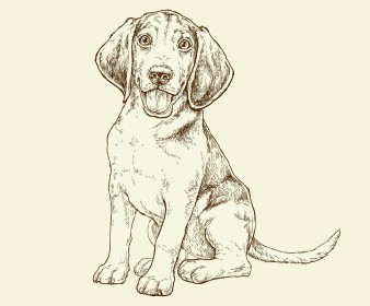 Puppy illustration