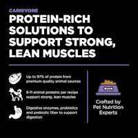 Protein-rich solutions to support strong, lean muscles
