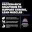 Protein-rich solutions to support strong, lean muscles
