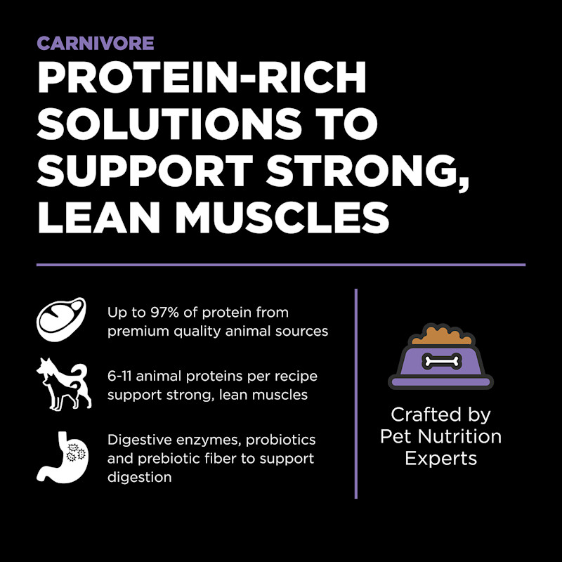 Protein-rich solutions to support strong, lean muscles