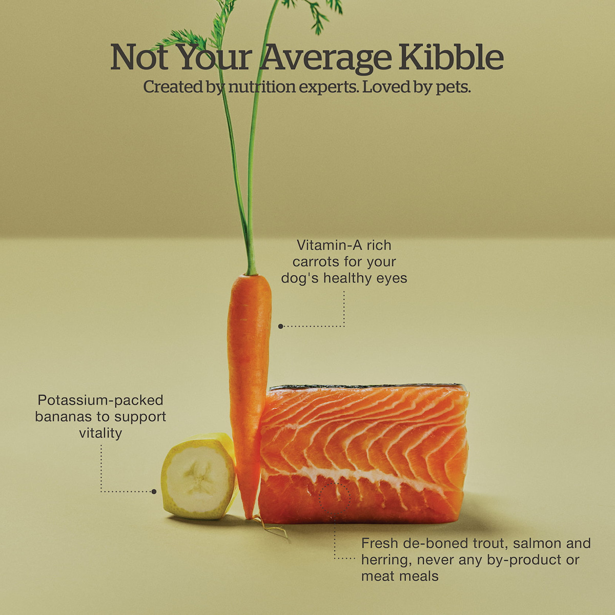 Created by nutrition experts and loved by pets