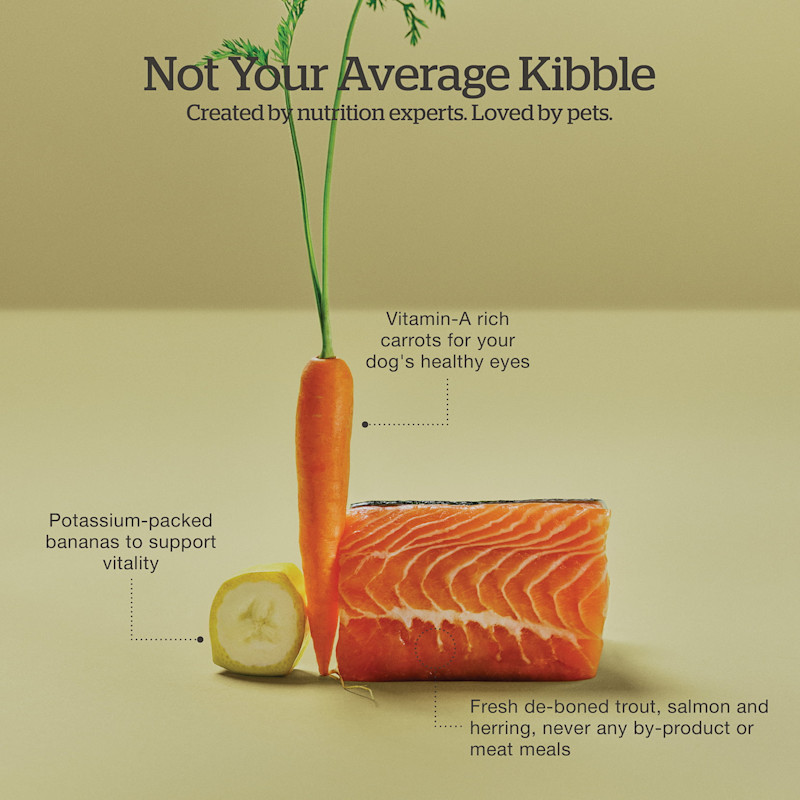 Created by nutrition experts and loved by pets