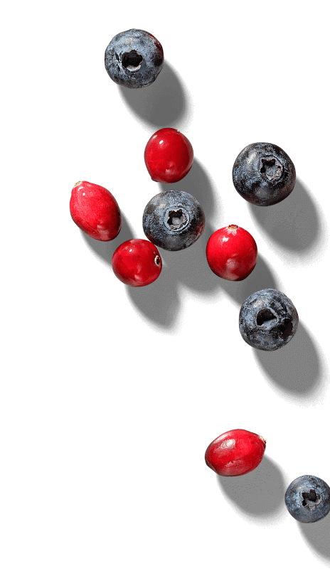 Berries