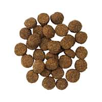GO! SOLUTIONS DIGESTION + GUT HEALTH Salmon Recipe With Ancient Grains for Dogs kibble