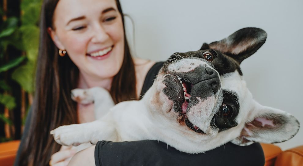 Woman holding French Bulldog
