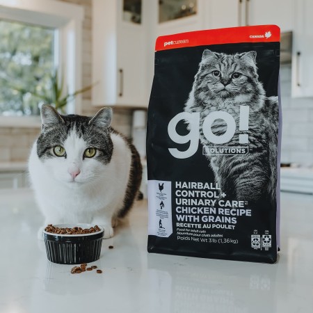 Cat eating Go! Solutions Hairball Control + Urinary Care kibble