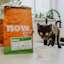 Kitten on kitchen counter with Now Fresh kitten food