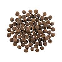 GO! SOLUTIONS SKIN + COAT CARE Lamb Recipe with Grains for Dogs kibble