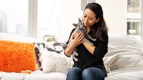 女人坐在沙发上，怀里抱着小猫咪