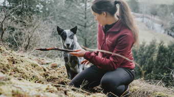 Dog with owner holding stick on mountain