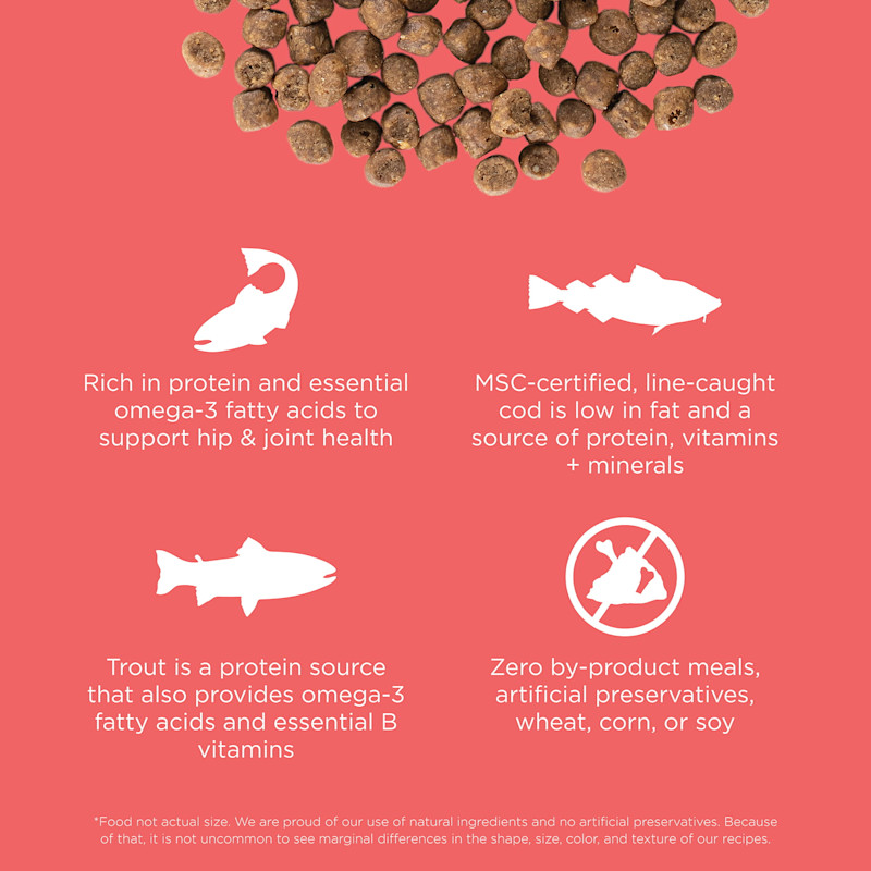 Rich in protein from MSC-certified, line-caught cod and trout, with zero by-product meals