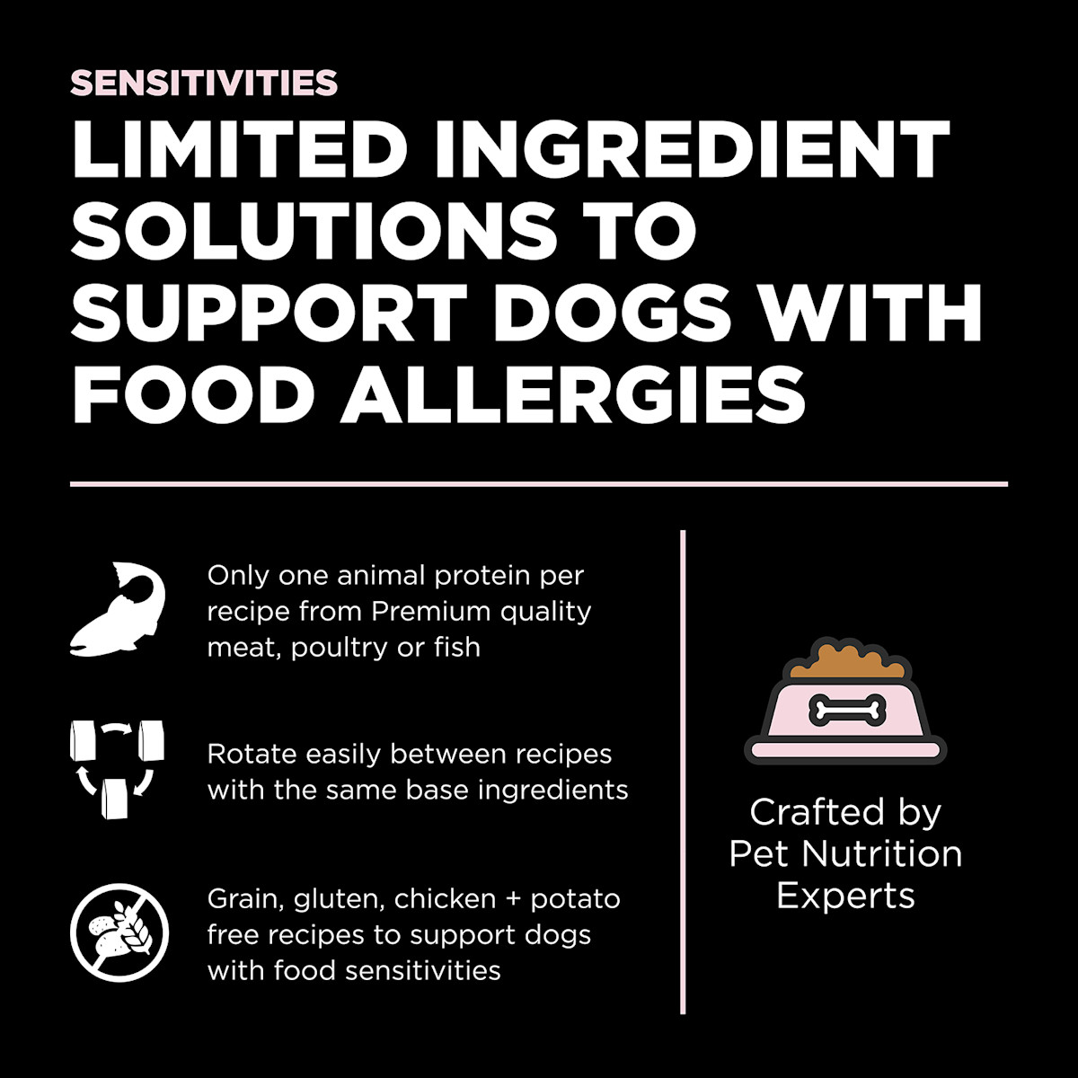 Limited ingredient solutions to support dogs with food allergies