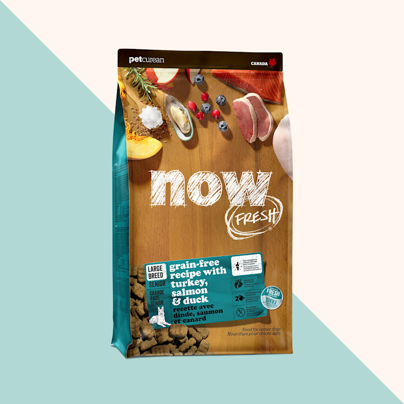 Nourriture sèche pour chiens âgés de grande race Now Fresh, recette sans grains à la dinde, au saumon et au canard