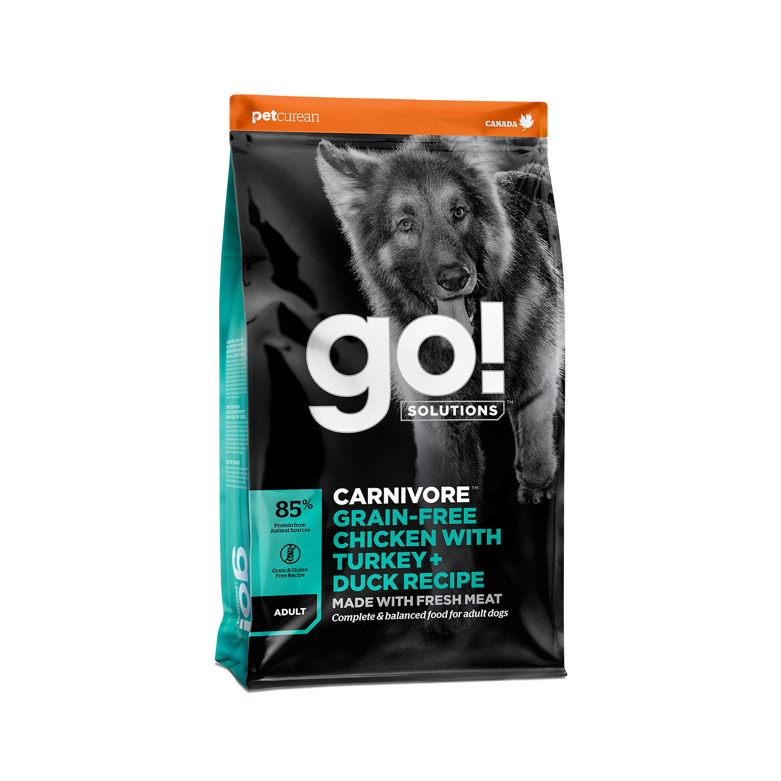 Go! Solutions Carnivore מתכון עוף ללא גרעינים עם תרנגול הודו + ברווז ללא דגנים לכלבים בוגרים