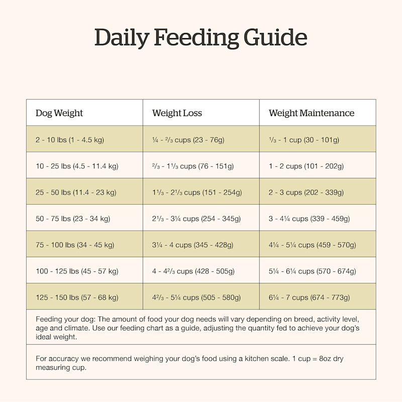 Now Fresh Good Gravy Salmon Recipe dog food feeding guide