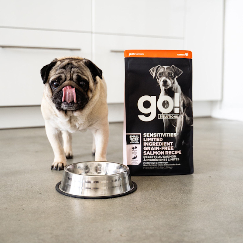 Pug licking its lips beside bag of GO! SOLUTIONS SENSITIVITIES Limited Ingredient Grain-Free Small Bites Salmon Recipe for Dogs