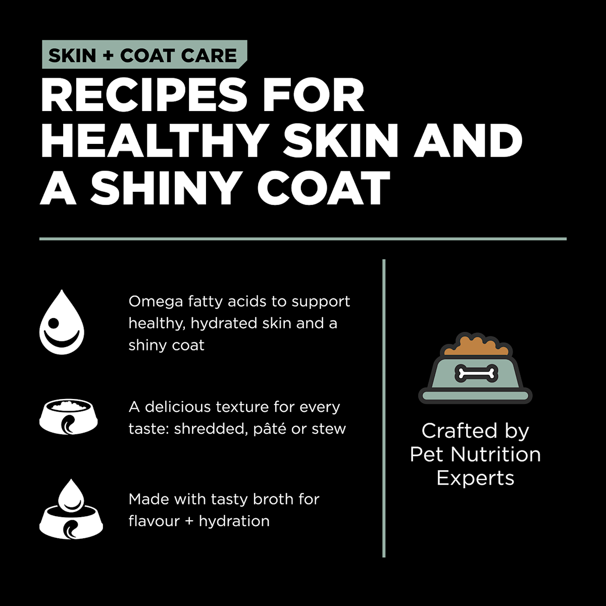 Recipes for healthy skin and a shiny coat
