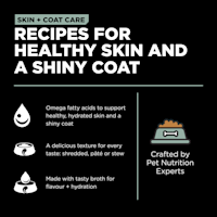 Recipes for healthy skin and a shiny coat