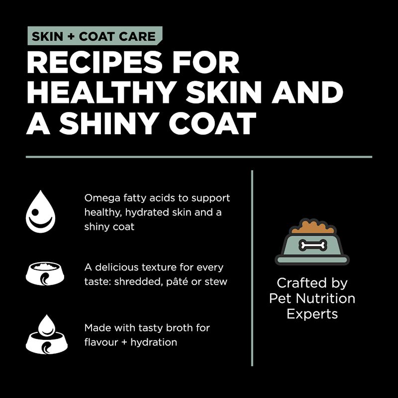Recipes for healthy skin and a shiny coat