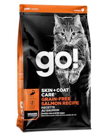 Go cat cheap indoor