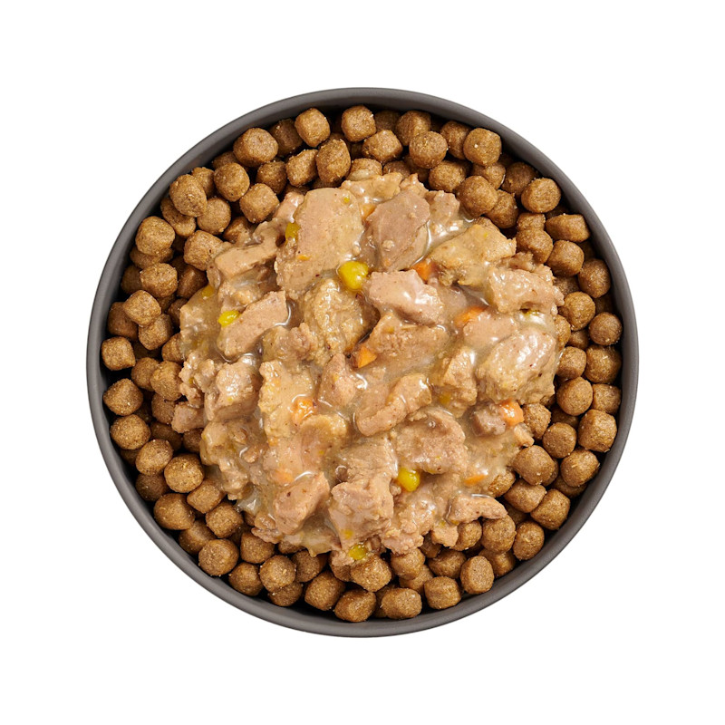 Bowl of kibble topped with Go! Booster Weight Management Minced Chicken + Tuna recipe for cats