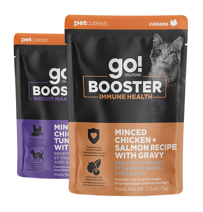 Go Booster Cat Food Toppers What Are They Benefits and How to