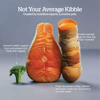 Created by nutrition experts and loved by pets
