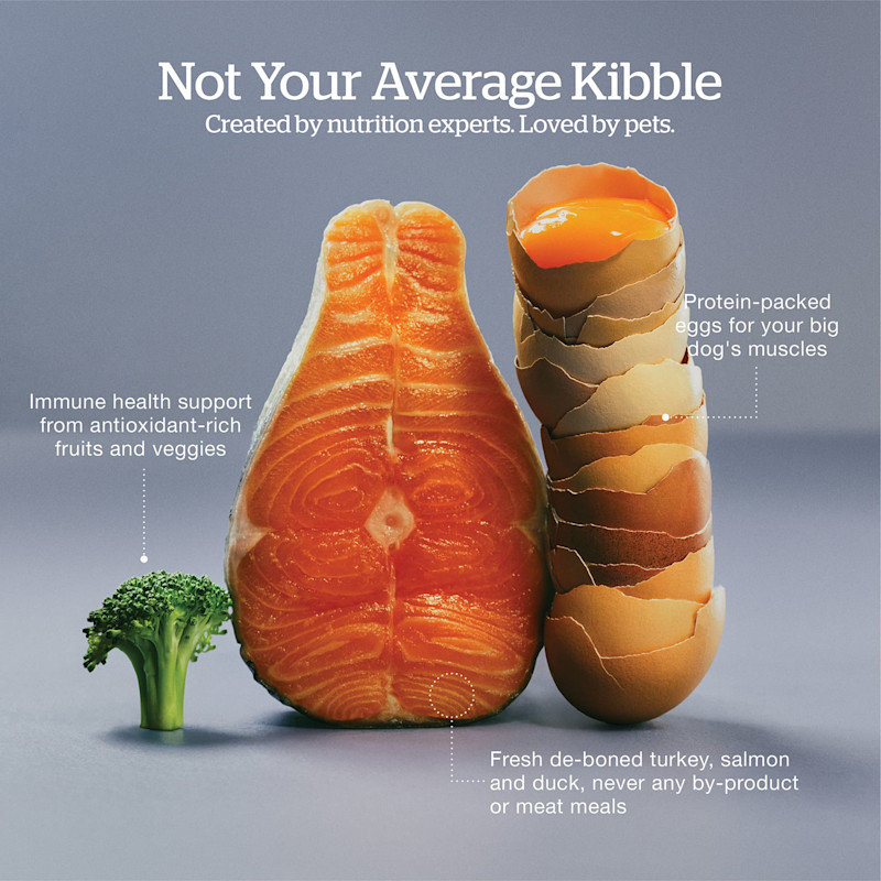 Created by nutrition experts and loved by pets
