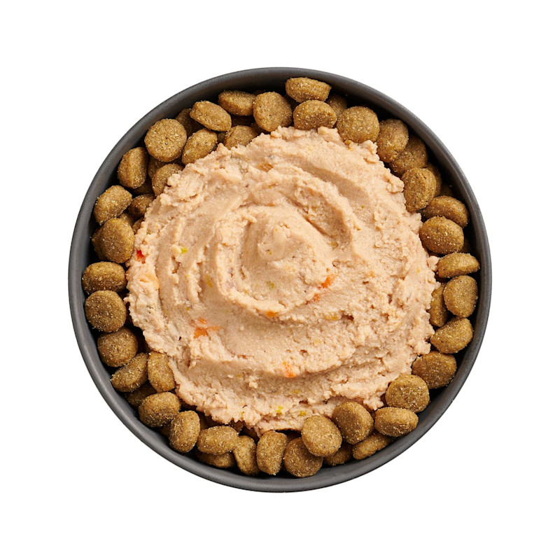 Bowl of kibble topped with Go! Booster Carnivore Chicken, Salmon + Duck Pâté for dogs